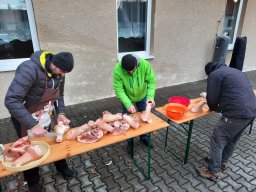 e1e5abbc-8c8f-41a8-b57f-365394cbef45